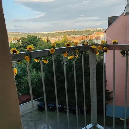 Star With Terrace 3c Apartman *